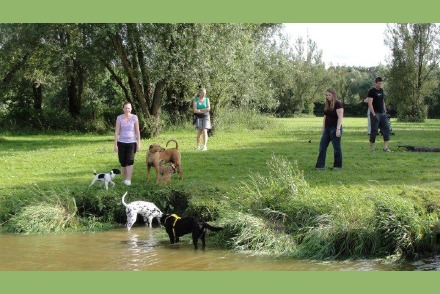 Seehotel Moldan hondenhotel met welness voor honden in Beieren HW1754
