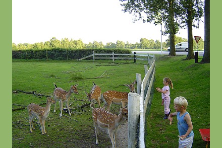 Finse bungalow op park Drenthe 2 honden welkom HW265