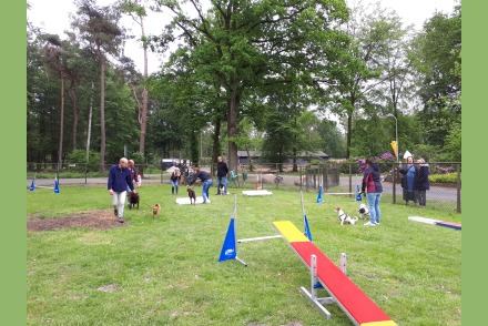 Hondencamping Ommerland HW349