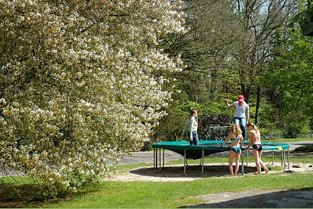 Finse bungalow op park Drenthe 2 honden welkom HW265