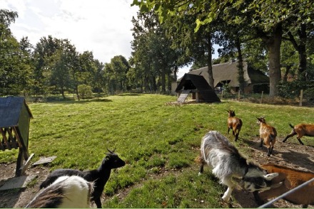 Traditionele plaggenhut Het Vleddertje aan het Nationaal Park Dwingelderveld HW269