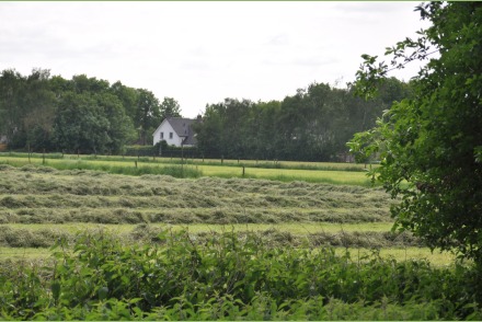 Dorpswoning Het Landelijke HW060