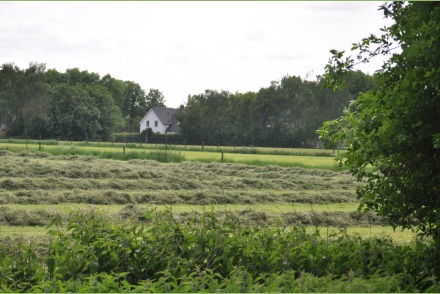 Dorpswoning Het Landelijke HW060