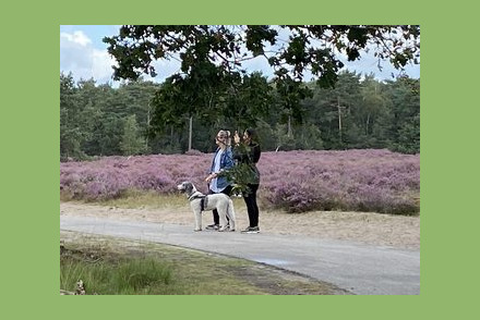 Recreatiepark Duinhoeve HW293