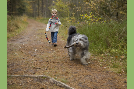 Kamperen met uw hond op Camping t Witte Zand HW352