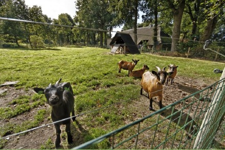 Traditionele plaggenhut Het Vleddertje aan het Nationaal Park Dwingelderveld HW269