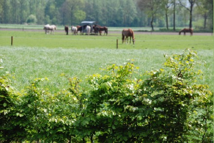 Dorpswoning Het Uitzicht HW062