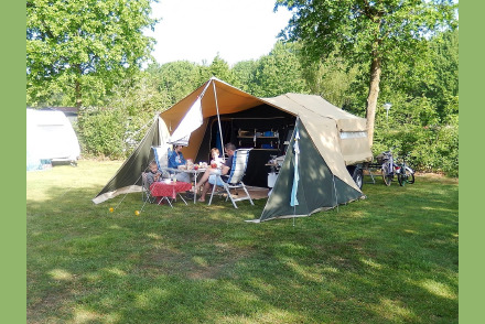 Kamperen met uw hond op Camping t Witte Zand HW352