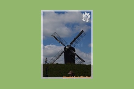 Dogwalktrail Nederland