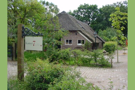 Bed en Breakfast in prachtige bosrijke omgeving van Diever in Drenthe HW014