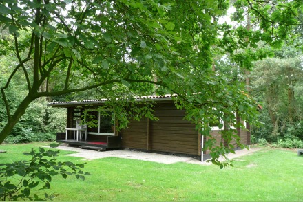 Finse bungalow op park Drenthe 2 honden welkom HW265