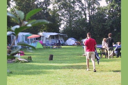 De leukste kleinschalige 'hondencamping' HW329