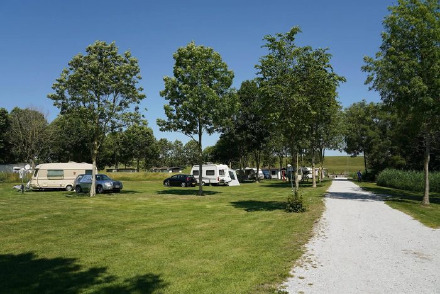 Camping Zeestrand met honden HW026