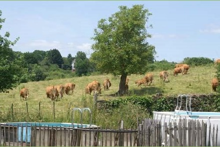 Vakantiehuis Provence op kleinschalig en kindvriendelijk vakantie domein La-Bastide HW1053